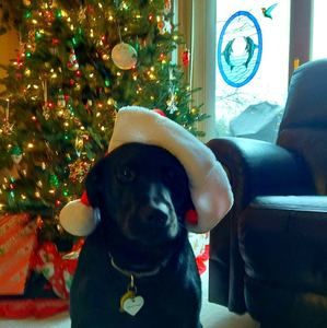 Meet your Posher, Rick